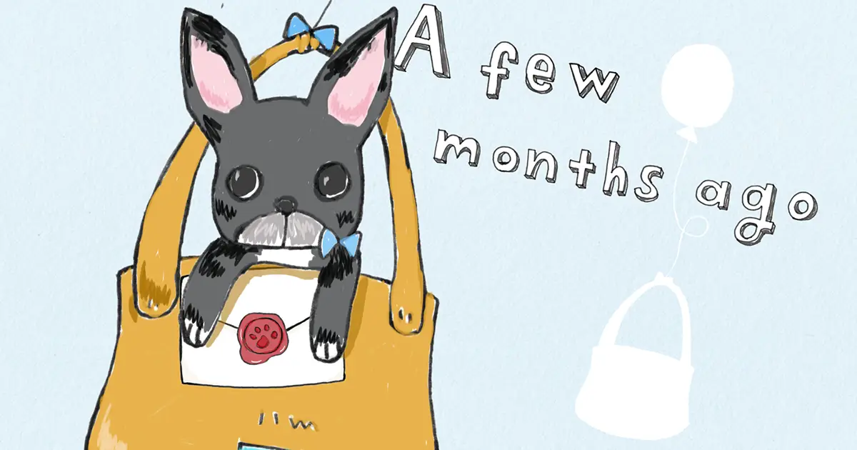 オープニングムービー「風船イス」の招待状を届ける愛犬