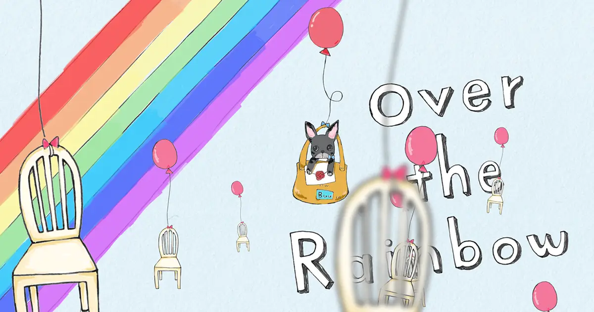 「風船イス」ショート動画紹介